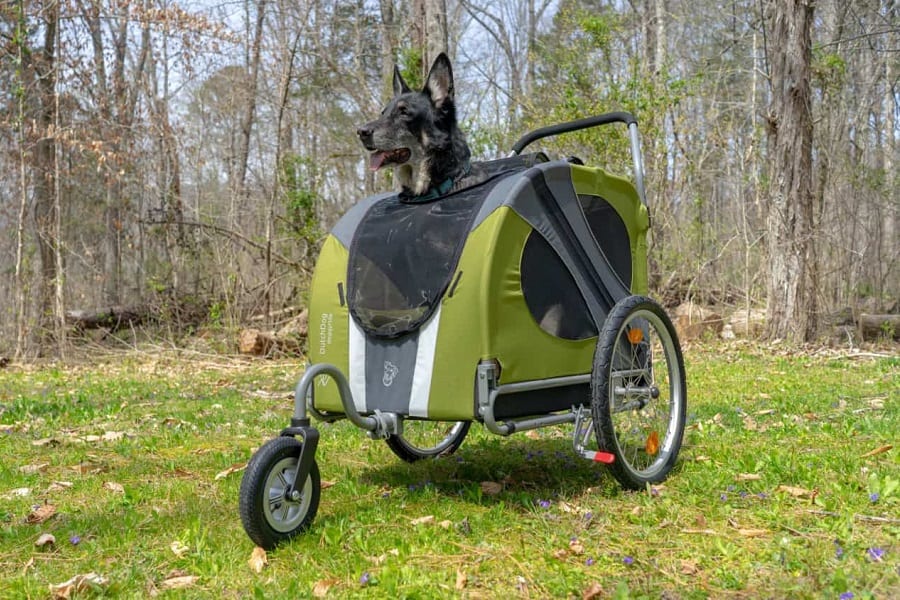What Is The Best Dog Jogging Stroller