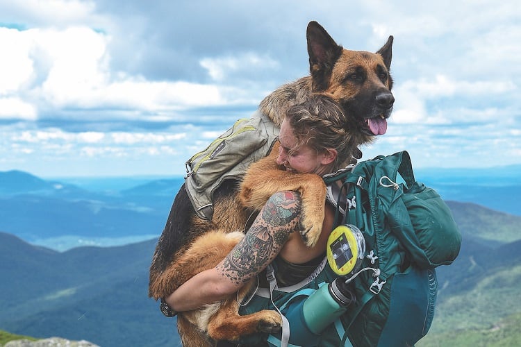 How to Teach German Shepherd to Behave on Hikes