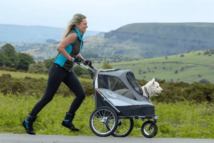 Can you jog with a dog stroller?