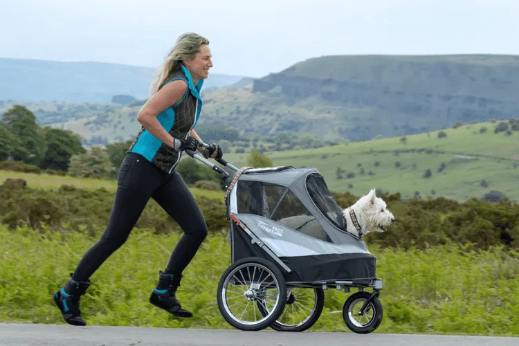 What Are the Best Dog Strollers for Jogging in 2022 6 Can you jog with a dog stroller?