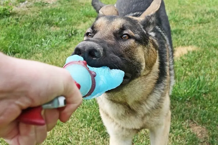 Best Tug Toys For Dogs for Fetching, Chewing, and Fun Times 10 Do tug toys make dogs aggressive?