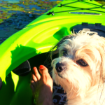 Best-Inflatable-Kayak-for-Dogs