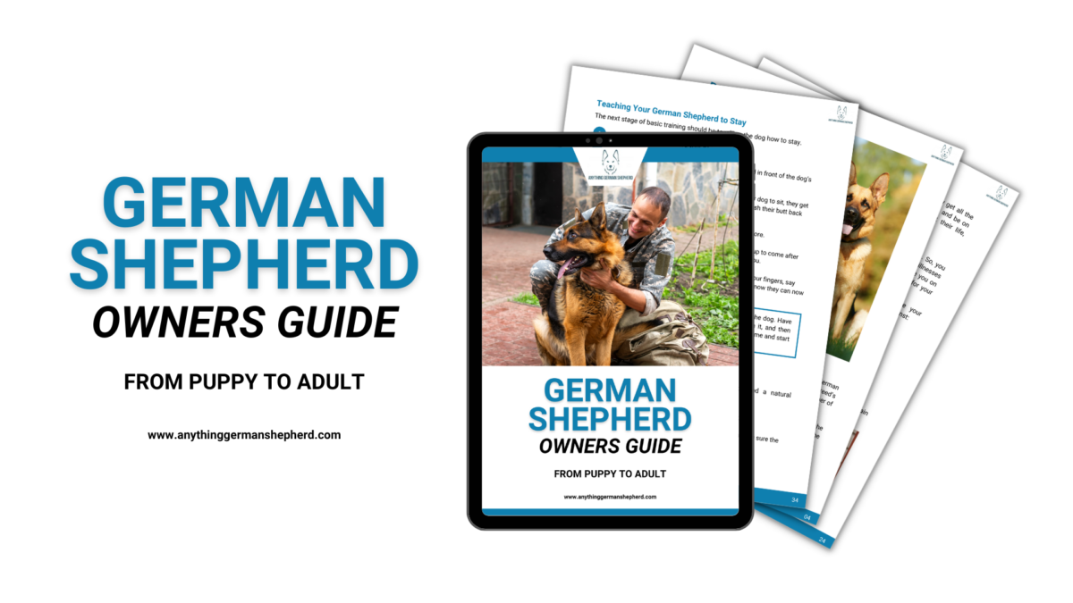 6 MustHave German Shepherd Dog Training Books