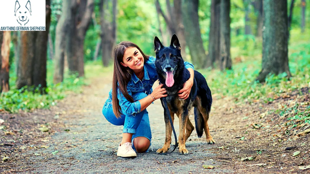 How-To-Stop-a-German-Shepherd-From-Growling-at-Their-Owners