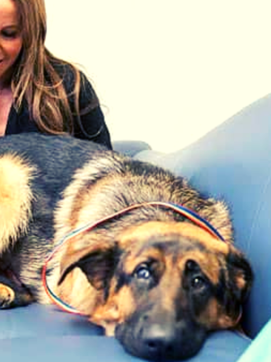 Is It Inhumane To Let A Dog Die Naturally?