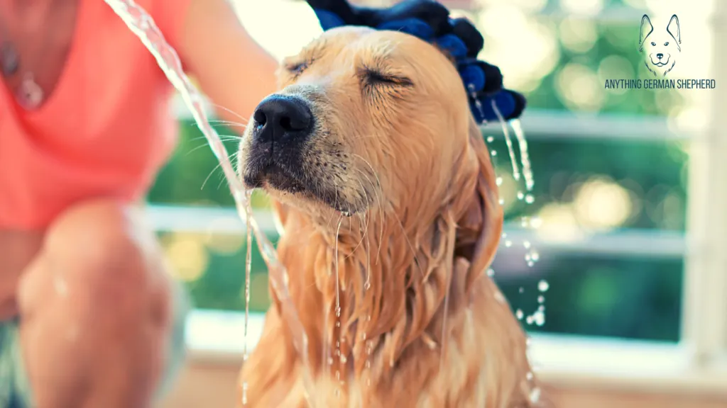 7 Best Antibacterial and Antifungal Dog Shampoo 2022 21 dog-enjoying-bathe-with-dog-shampoo