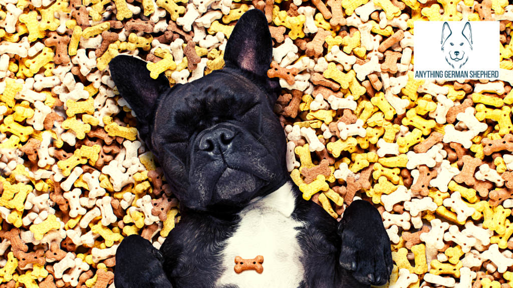 dog-sleeping-in-a-pile-of-treats
