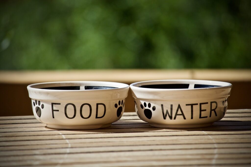 food and water word written on food plate