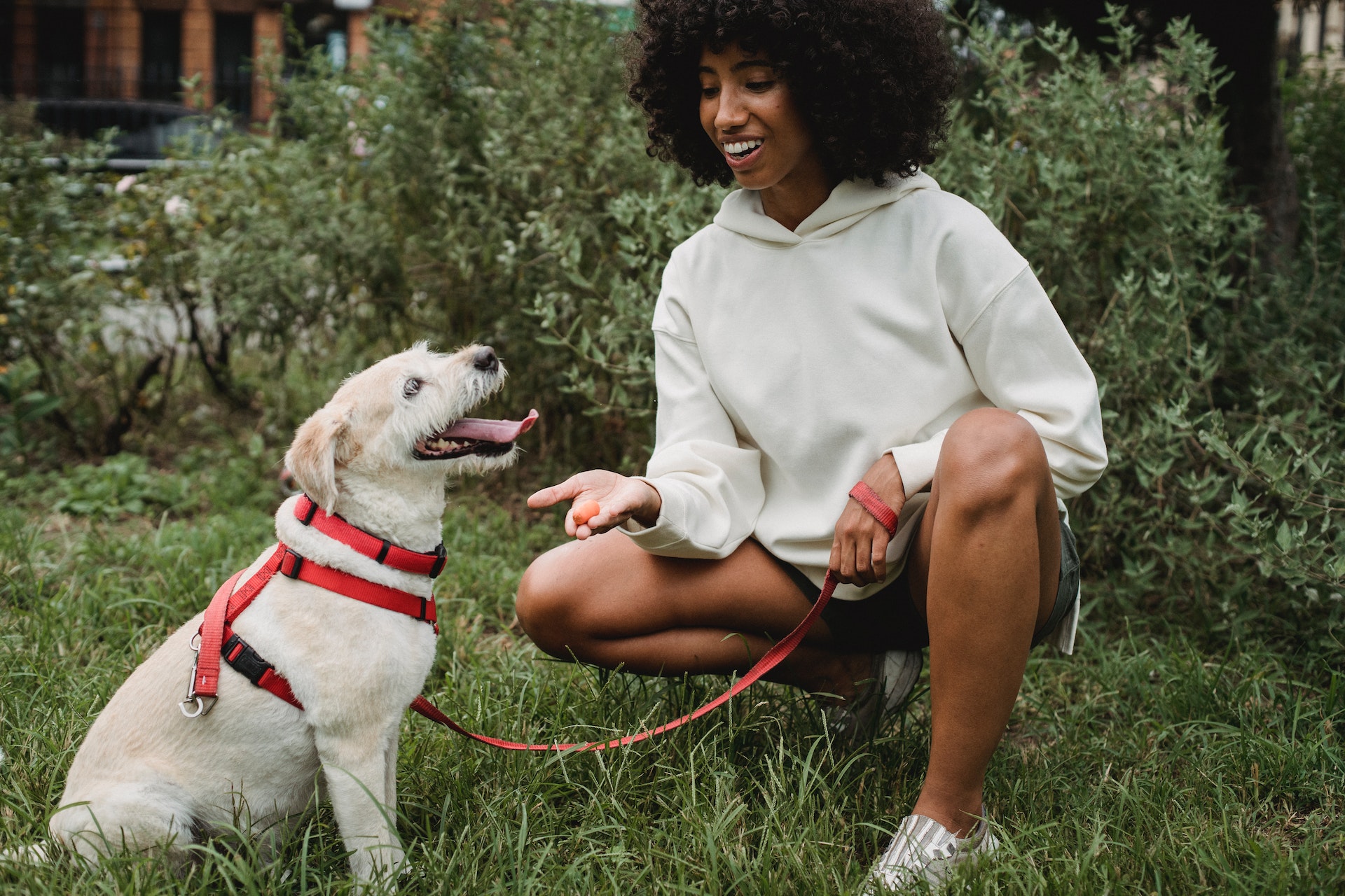 women feeding her dog