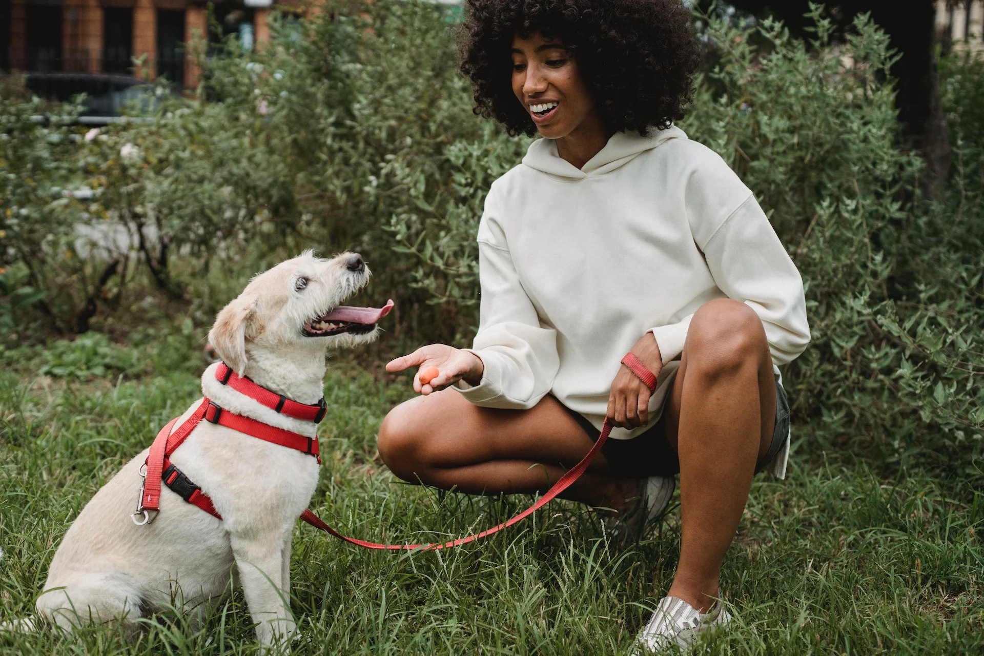 women feeding her dog