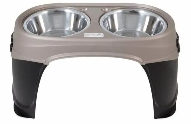 Petmate Easy Reach Pet Diner Elevated Dog Bowls