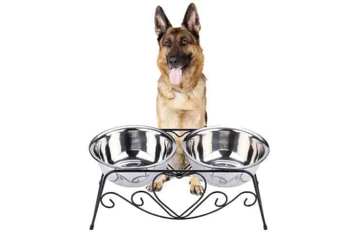 CICO Pet Feeder for Dog