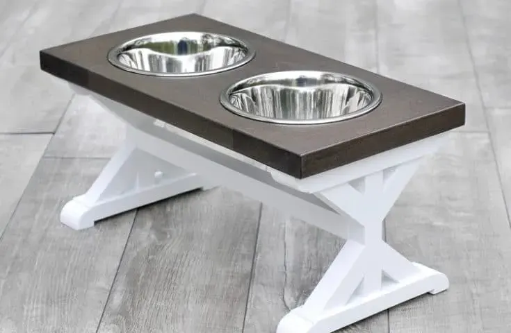 dog food bowl