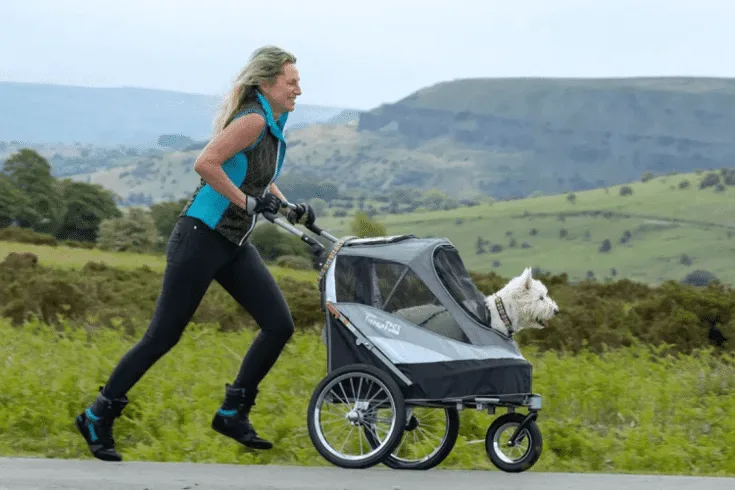 women using stroller to carry pet dog
