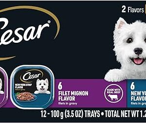 CESAR Filets in Gravy Variety Pack
