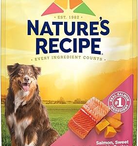 Nature's Recipe Salmon Dry Dog Food