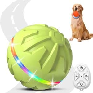 Remote Control LED Dog Ball Toy