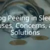 Sleeping dog with a small puddle of urine nearby, concerned expression, soft lighting, realistic.